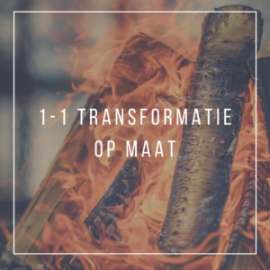 1-1 transformatie