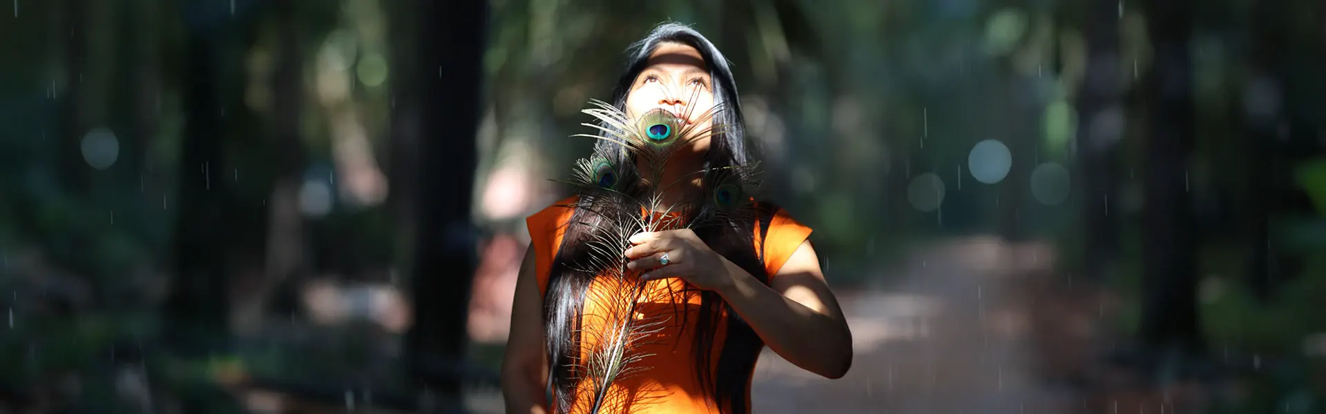 Transformatie & Oerkeuze