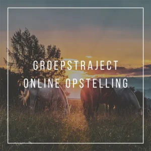 Groepstraject online opstelling.