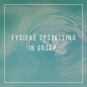 Fysieke opstelling in groep