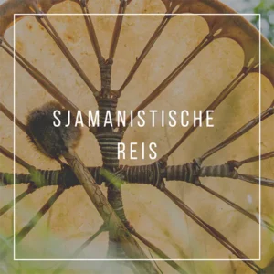 Sjamanistische Reis